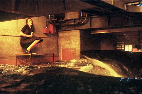 Dr. Susan McCallister