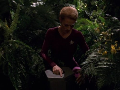 Seven of Nine