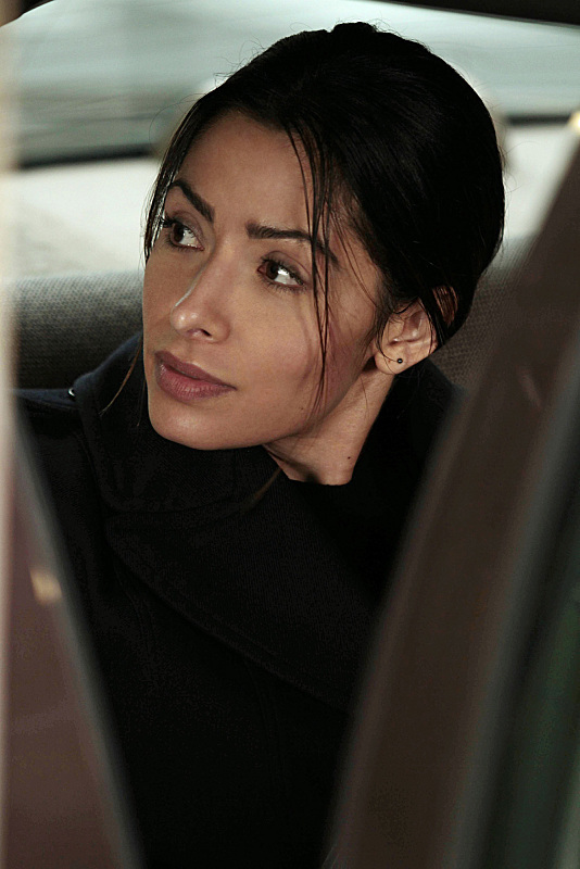 Sameen Shaw