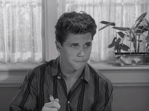 Tony Dow