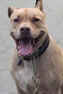 Leon
