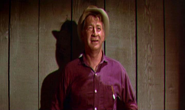 Chill Wills