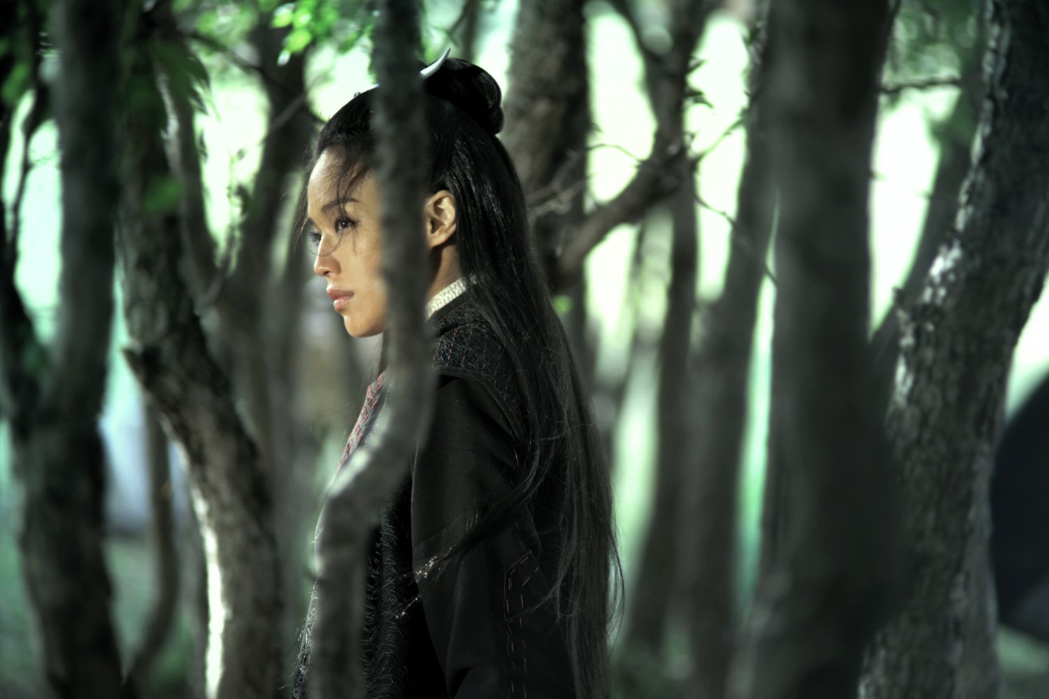 Qi Shu