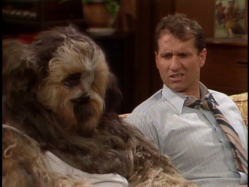 Buck the Dog
