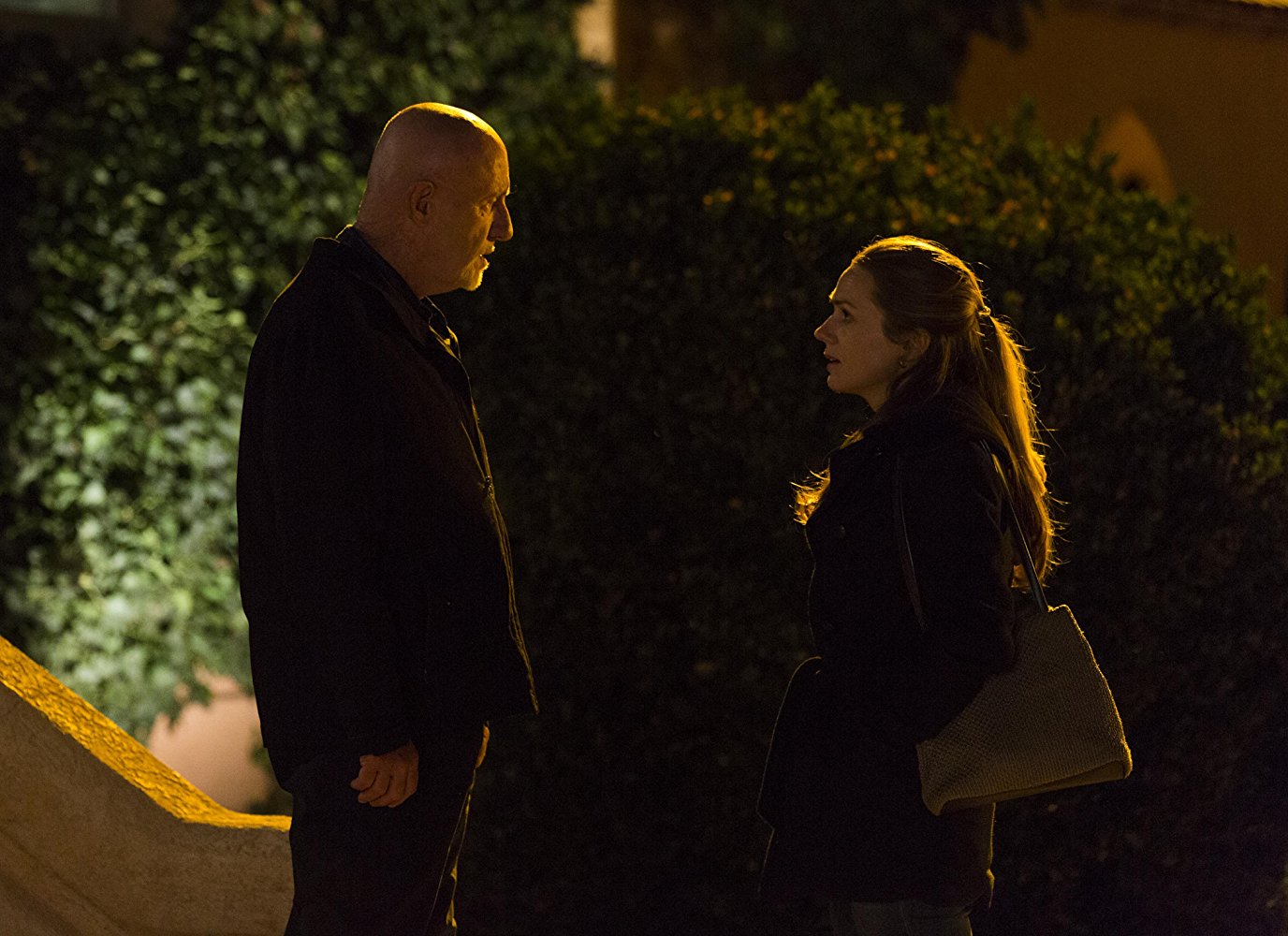 Mike Ehrmantraut