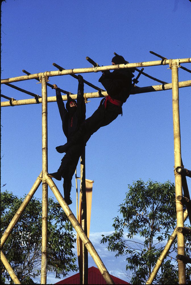 Tadashi Yamashita