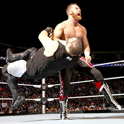 Sami Zayn