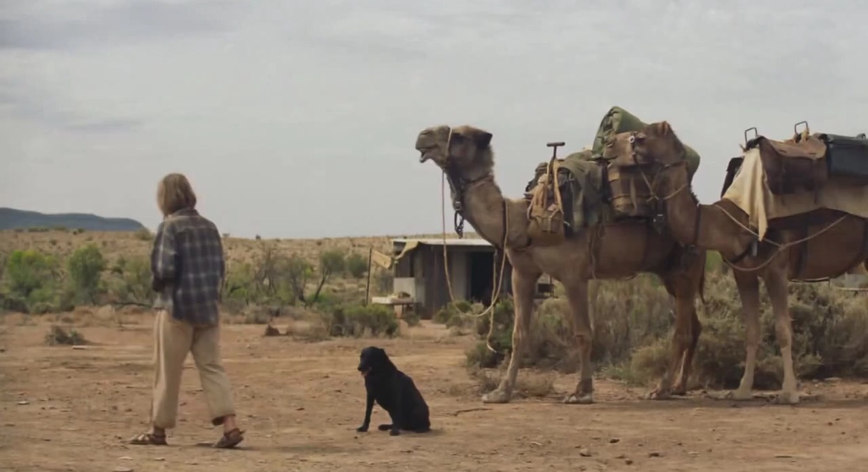 Robyn Davidson