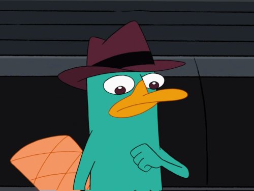 Perry the Platypus