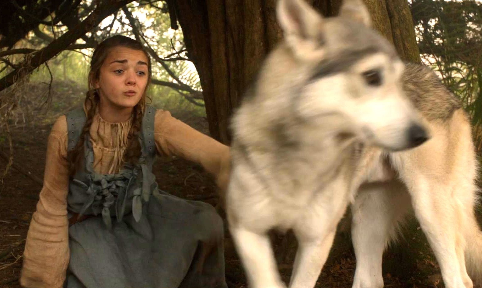 Arya Stark