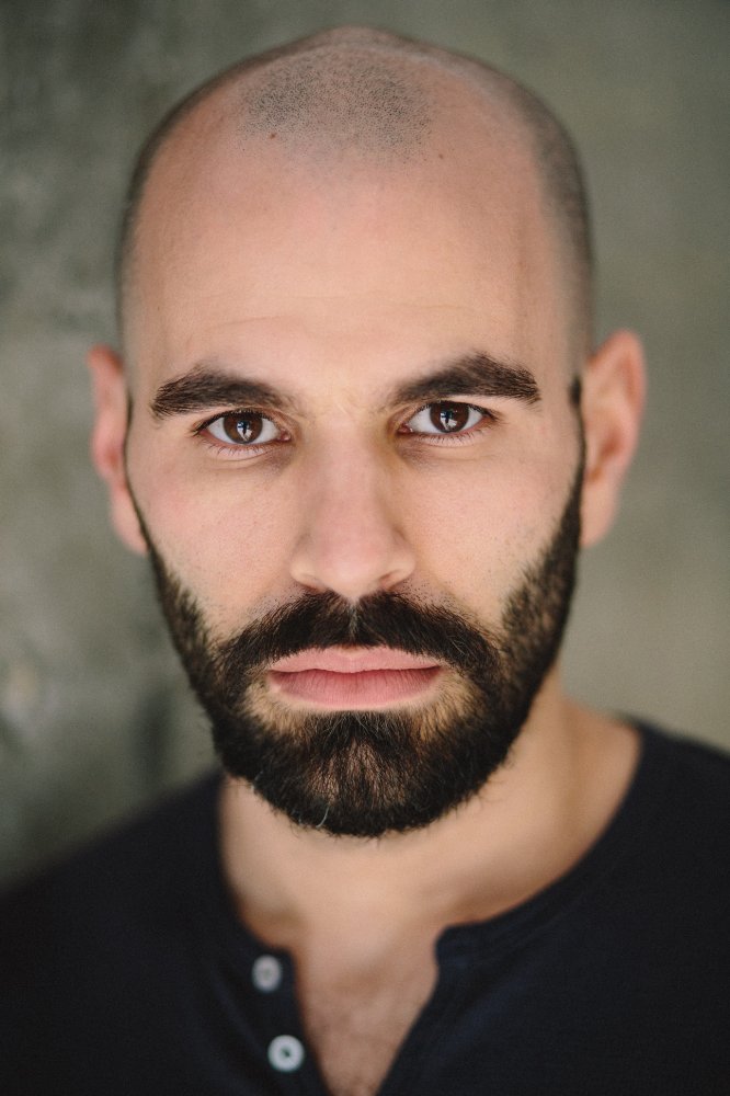 Dimitri Meskouris