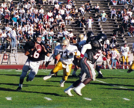 Rob Adams