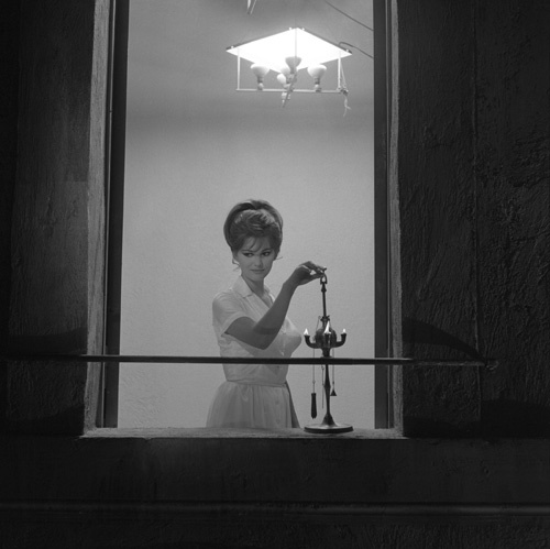 Claudia Nardi