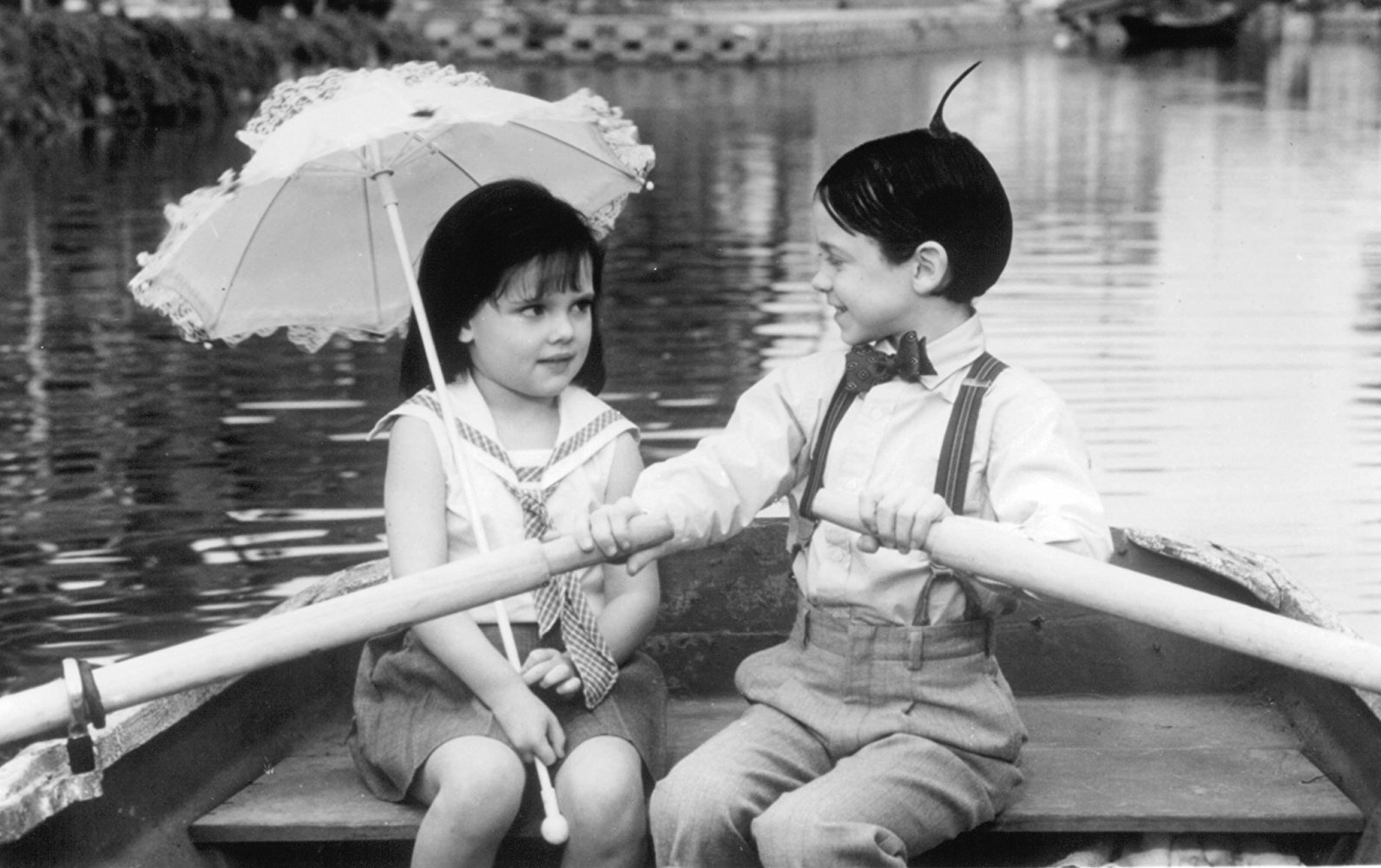 Alfalfa