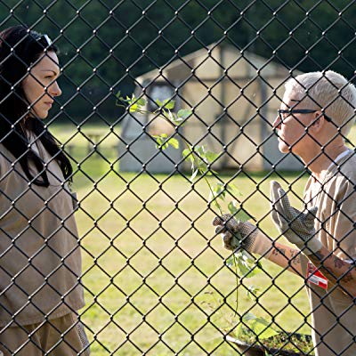 Alex Vause, Alex