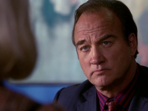 Jim Belushi