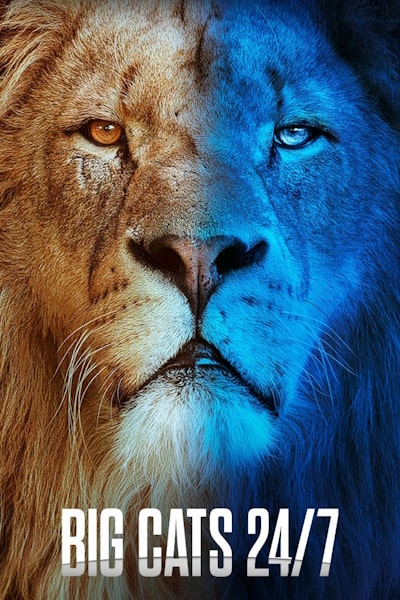 Big Cats 24 7 - Season 1