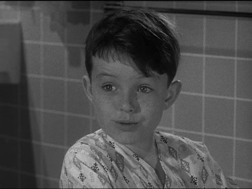 Theodore 'Beaver' Cleaver