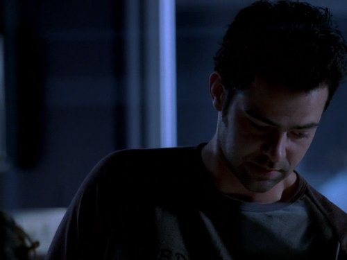 Tim Speedle