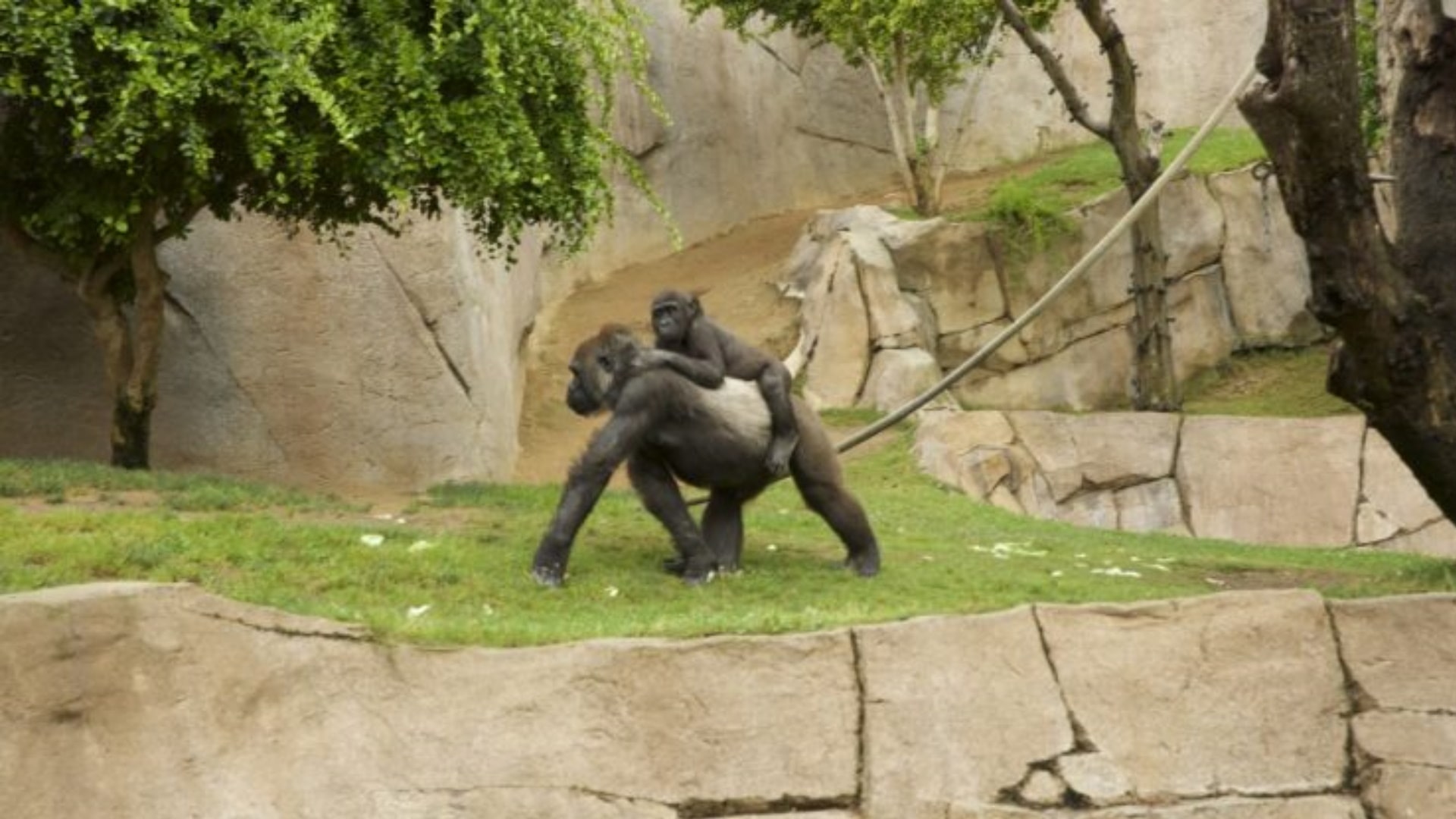 Season 1