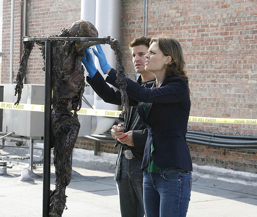 Temperance Brennan