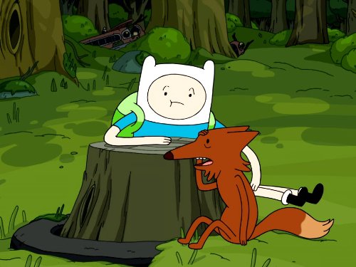 Mr. Fox