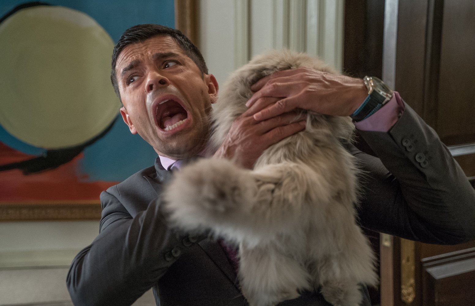Mark Consuelos