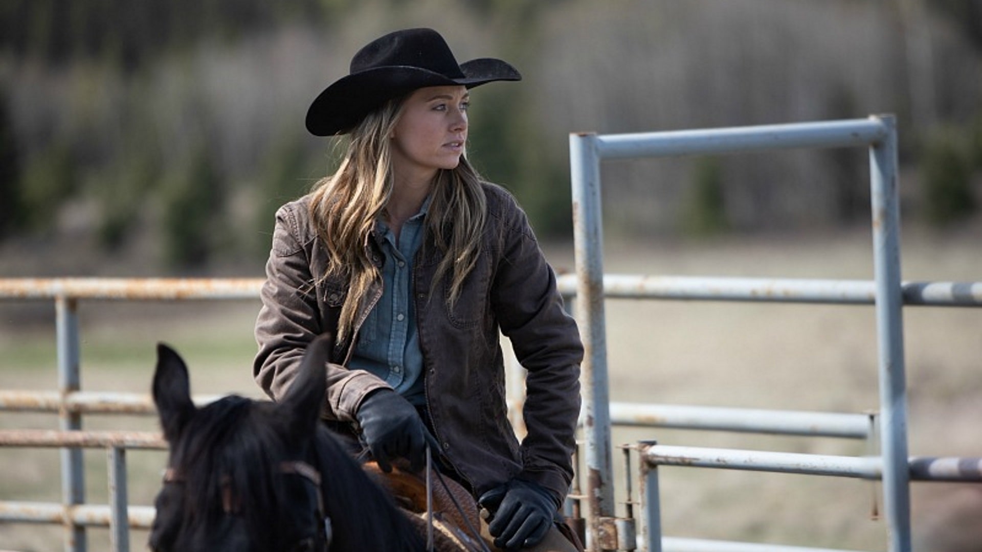 Season 13