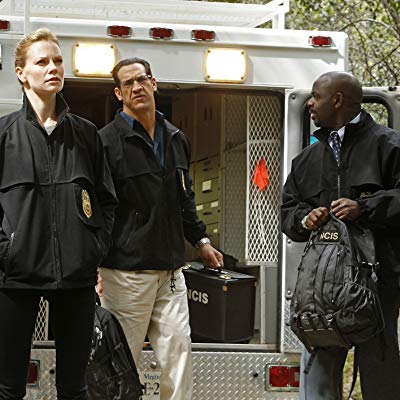 NCIS Special Agent Gayne Levin