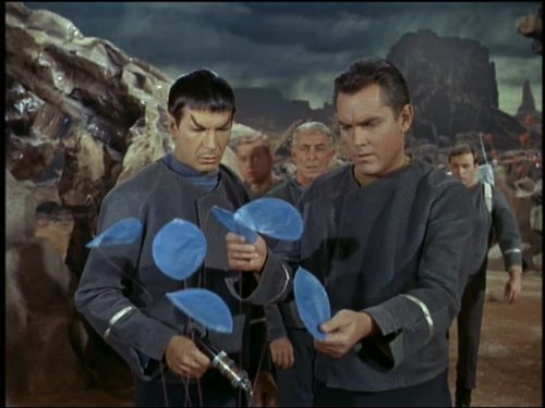 Captain Christopher Pike