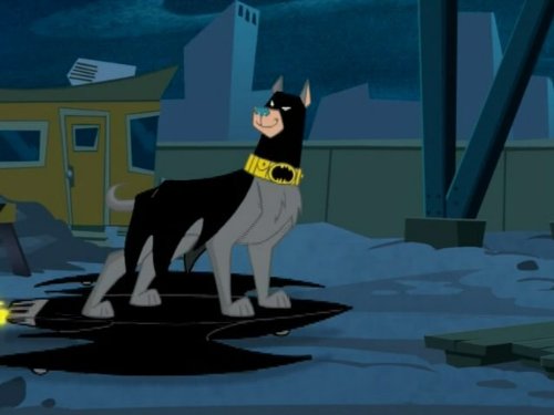 Ace the Bathound