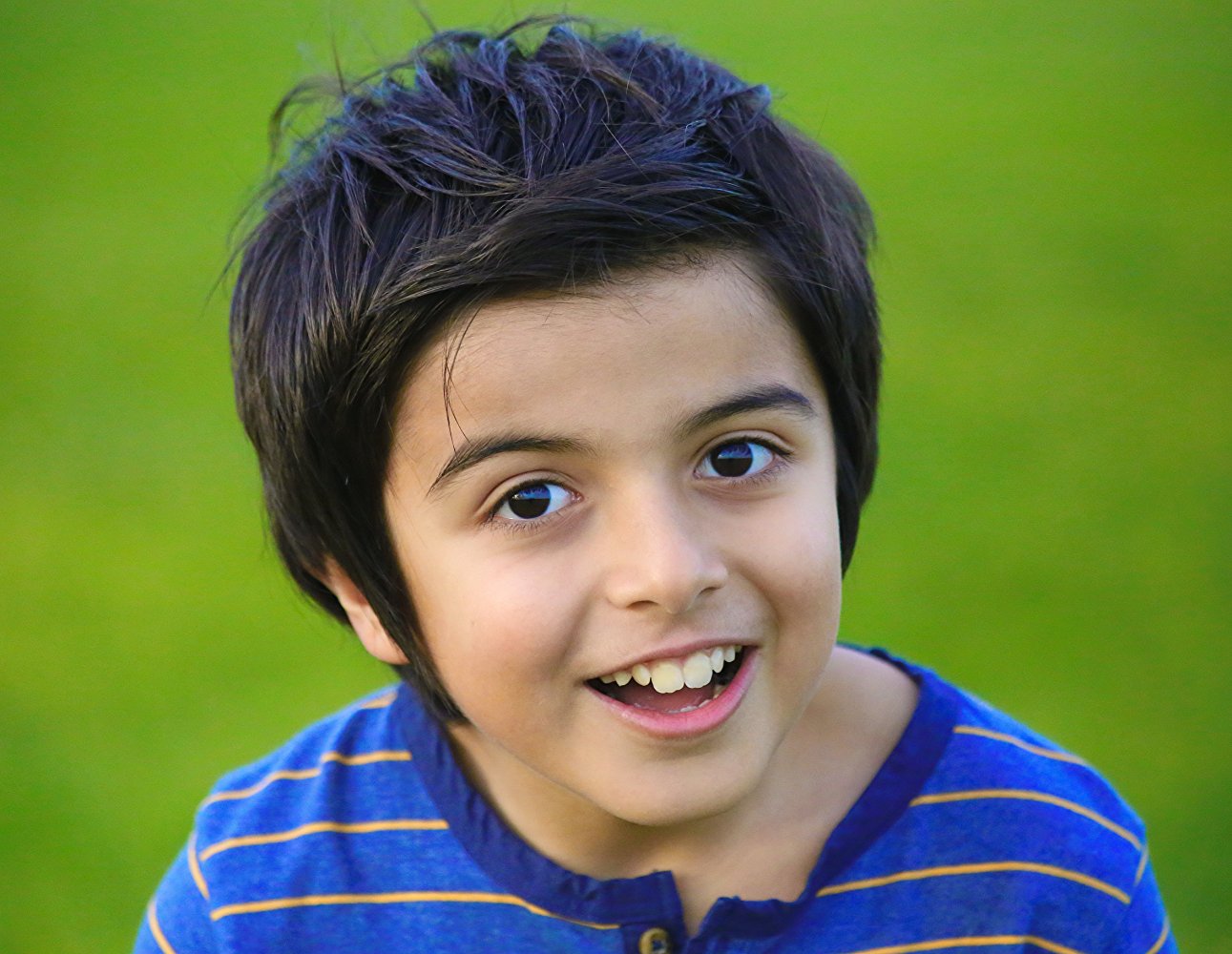 Bardia Seiri