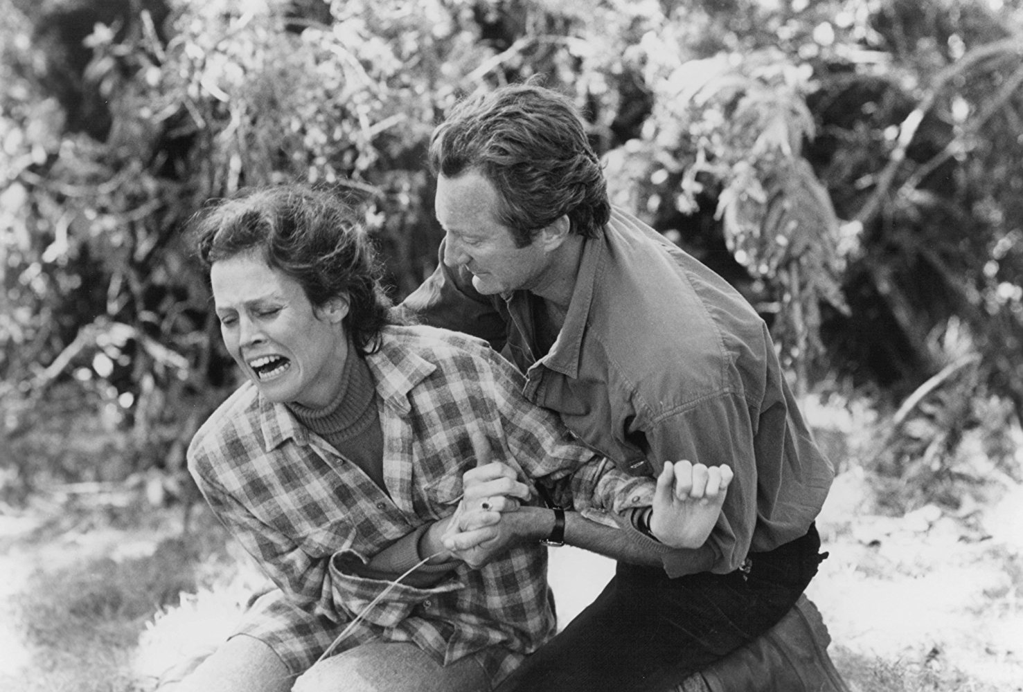 Dian Fossey