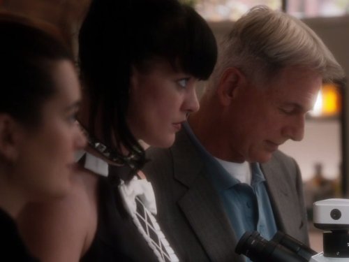 Ziva David