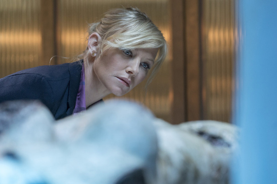 Amanda Rollins