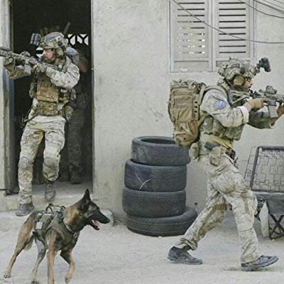 Cerberus