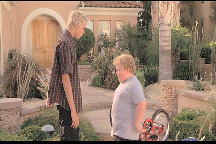 Skateboard Bully